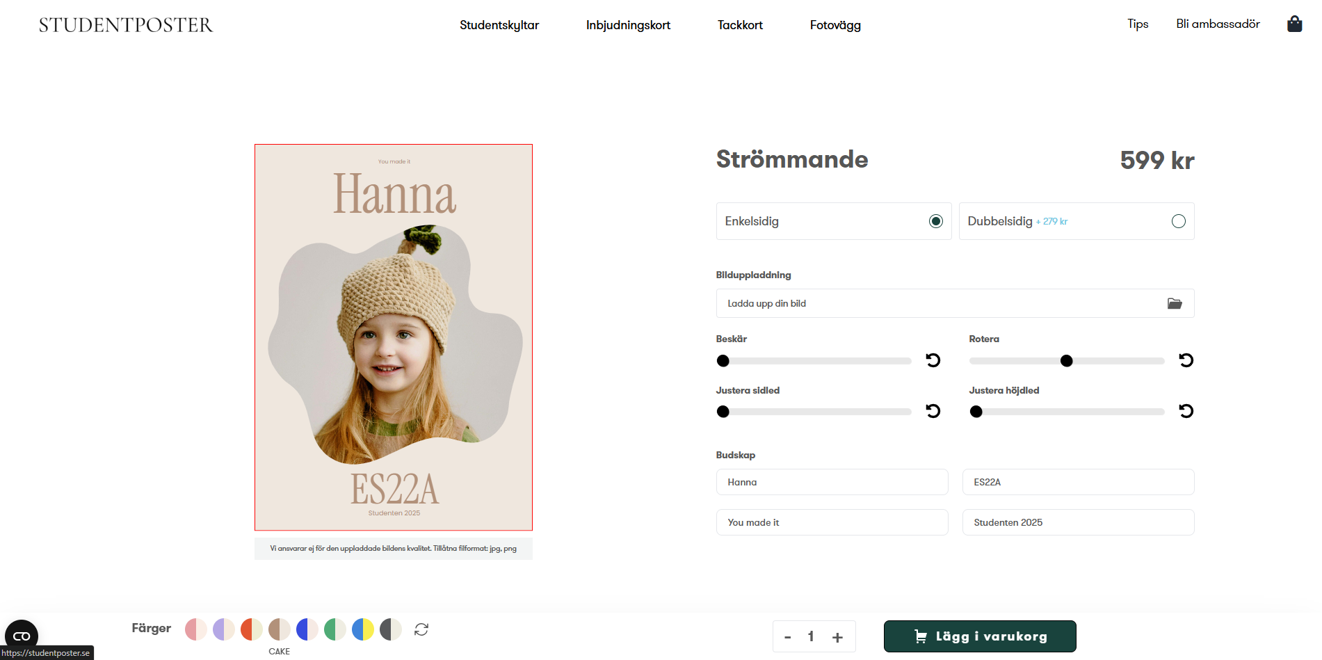 Project Student Poster