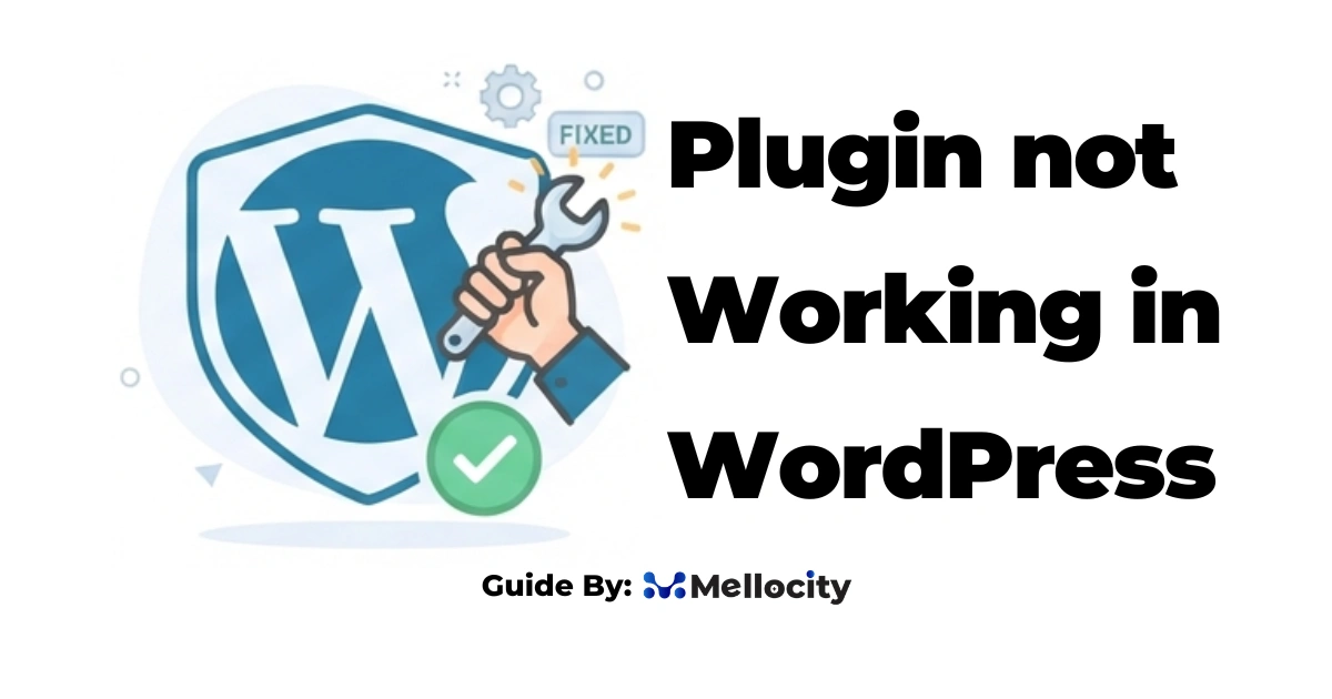 plugin not working in wordpress