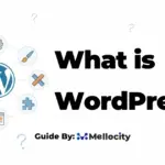 what is wordpress