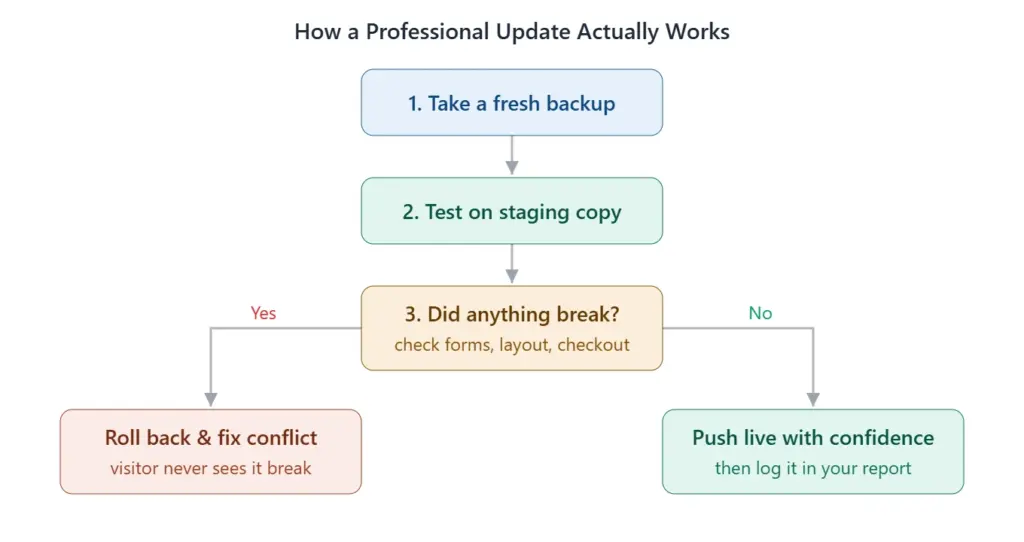working of professional update  - wordpress maintenance plans 